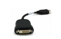 Display Port Male to DVI Female Adapter Cable, 20 Centimeters -Black, DisplayPort